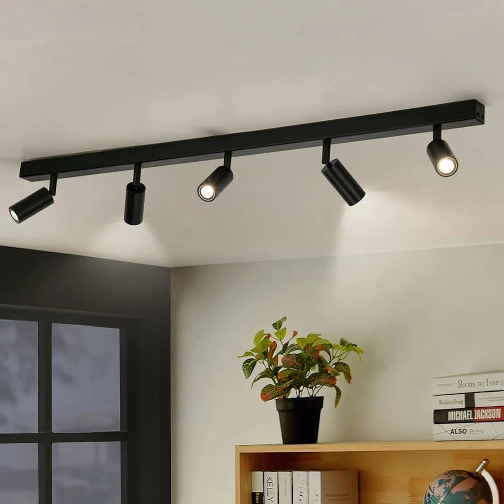 Spotlights/Track Lights