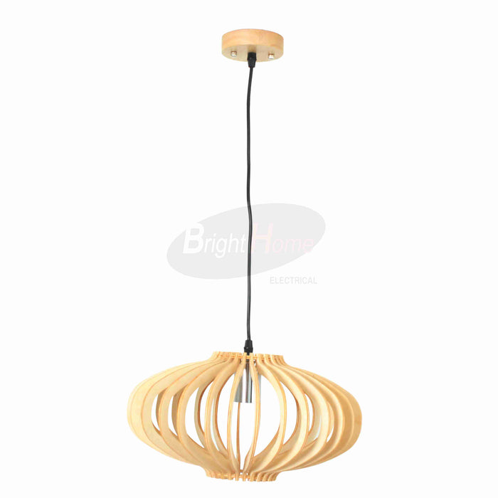 FRANCE Modern Simplicity Globe Pendant Light