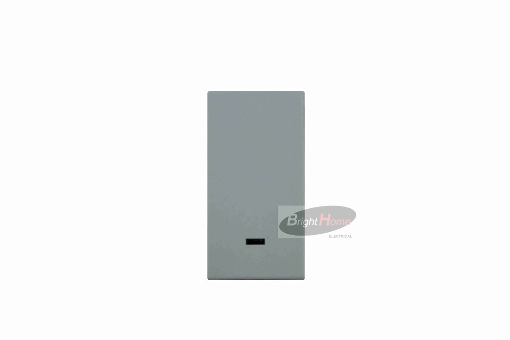 Titan intermediate switch mechanism Sliver