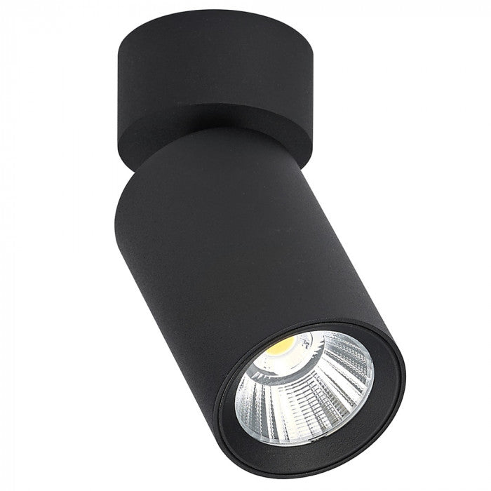 SU-SC616 Silo Downlight  Spotlight BL/WH