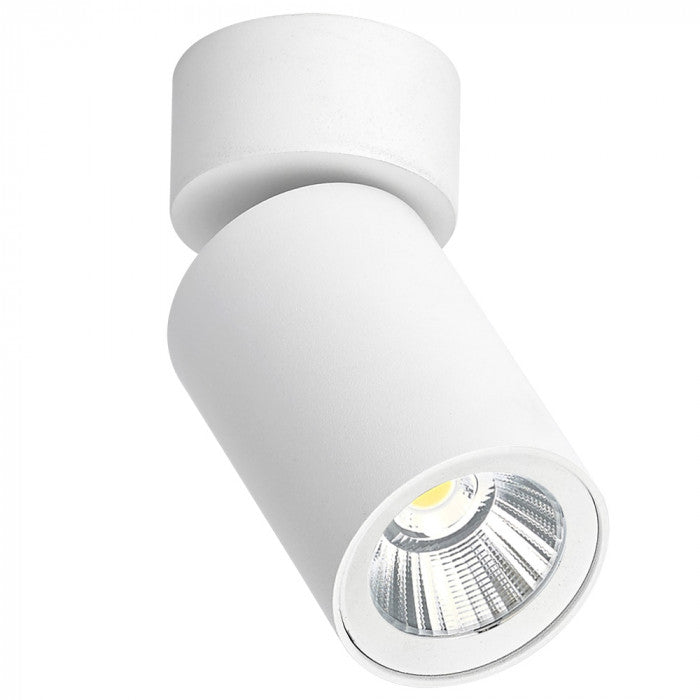 SU-SC616 Silo Downlight  Spotlight BL/WH