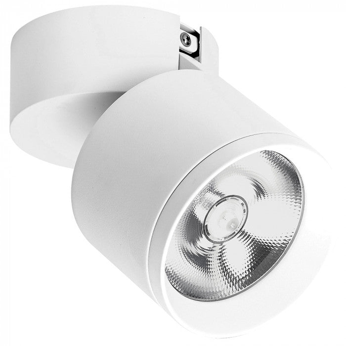 Titaha Downlight Spotlight BL/WH